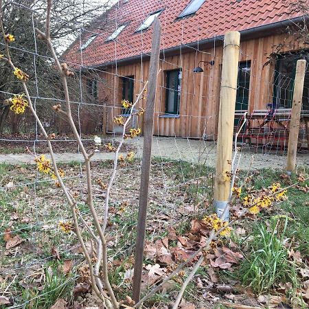 Broockhof Ferienwohnung Unterm Sternenhimmel In Mecklenburg Reimershagen Екстериор снимка