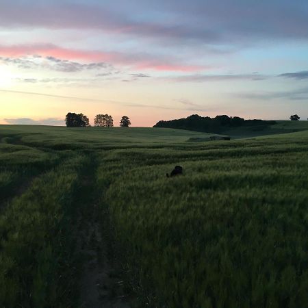 Broockhof Ferienwohnung Unterm Sternenhimmel In Mecklenburg Reimershagen Екстериор снимка