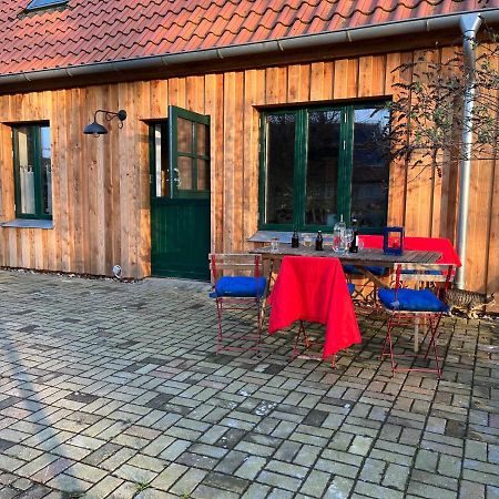 Broockhof Ferienwohnung Unterm Sternenhimmel In Mecklenburg Reimershagen Екстериор снимка