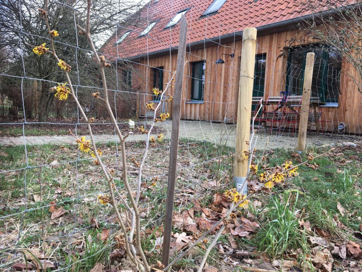 Broockhof Ferienwohnung Unterm Sternenhimmel In Mecklenburg Reimershagen Екстериор снимка